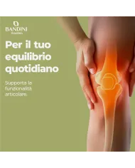Olio di semi di canapa - 180 softgel