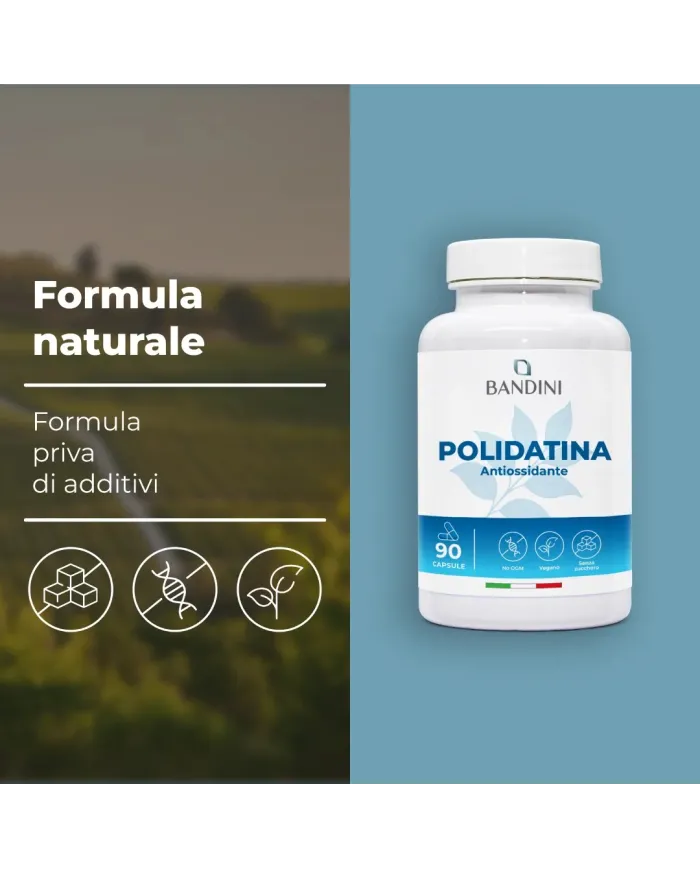Polidatina 90 capsule | Antiossidante da Polygonum cuspidatum