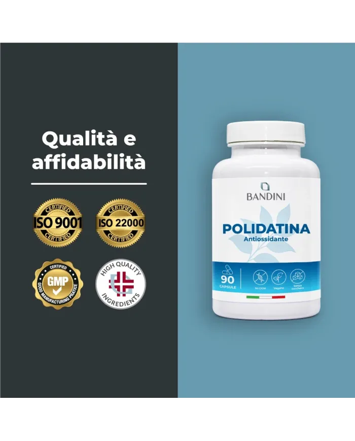 Polidatina 90 capsule | Antiossidante da Polygonum cuspidatum