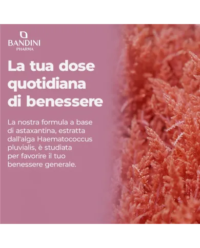 Astaxantina 8mg 270 capsule | Oleoresina antiossidante