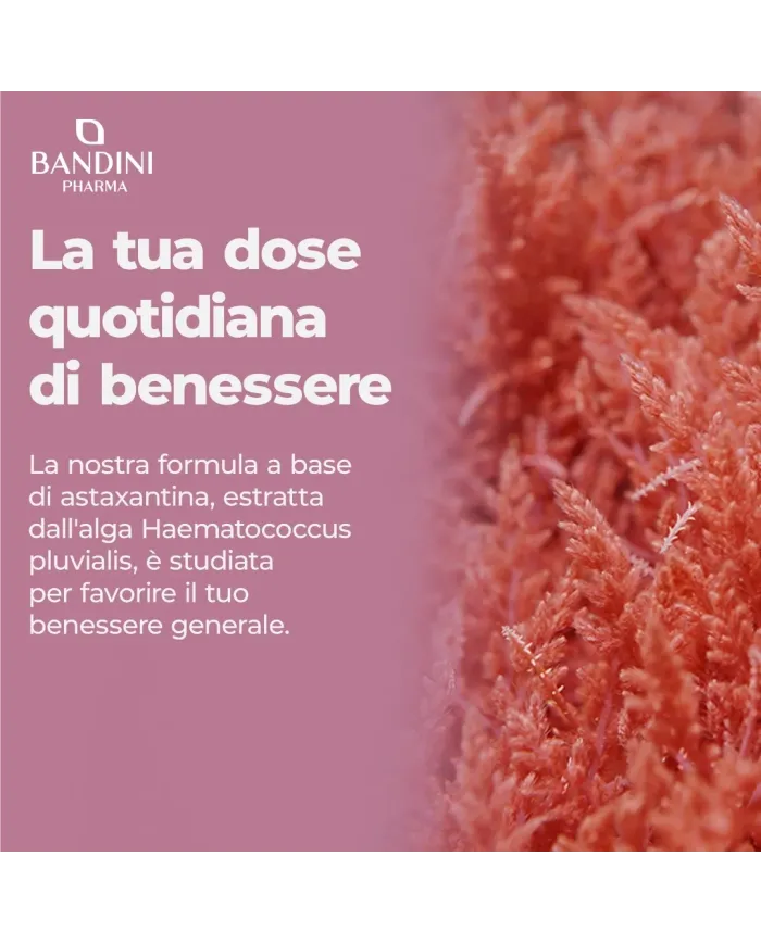 Astaxantina 8mg 270 capsule | Oleoresina antiossidante