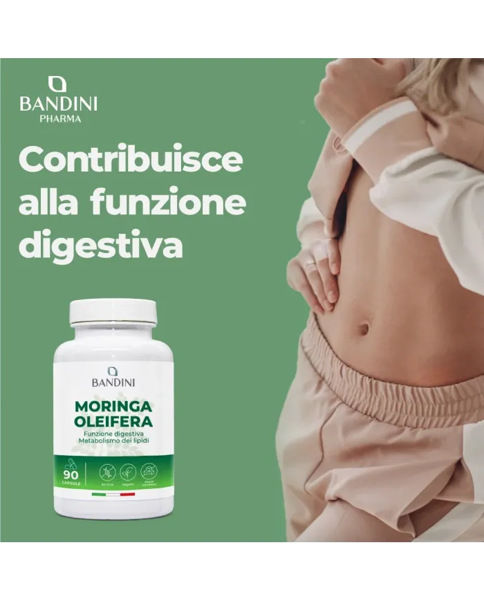 Moringa oleifera capsules for weight control