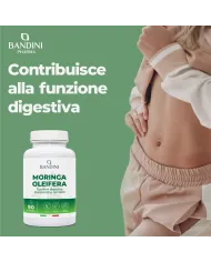 Moringa oleifera capsules for weight control