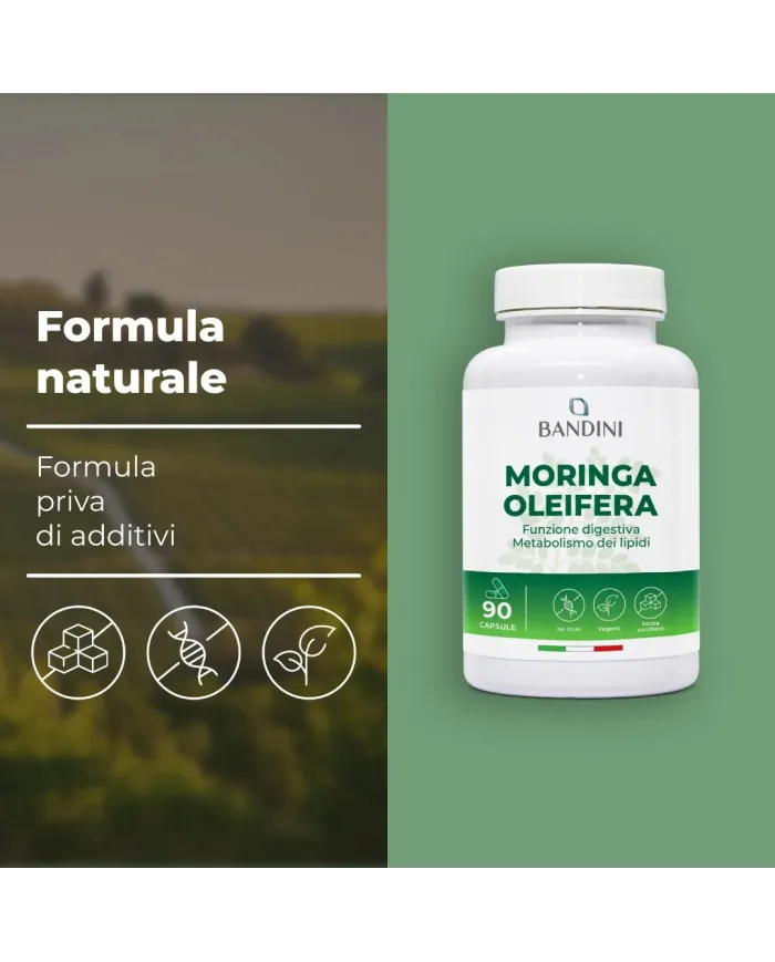 Moringa oleifera in capsule per il controllo del peso