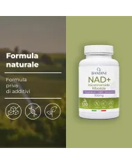 Liposomal NAD+ 120 capsules