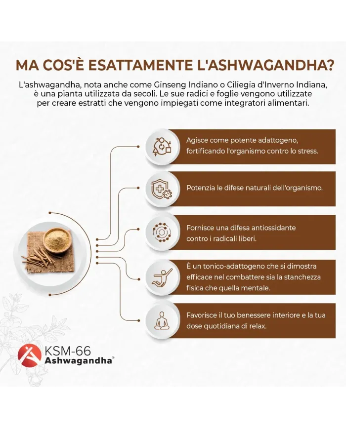 Ashwagandha Complex KSM-66 capsules with Rhodiola, Zinc, B6