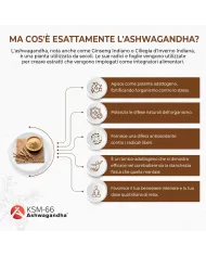 Ashwagandha Complex KSM-66 capsules with Rhodiola, Zinc, B6