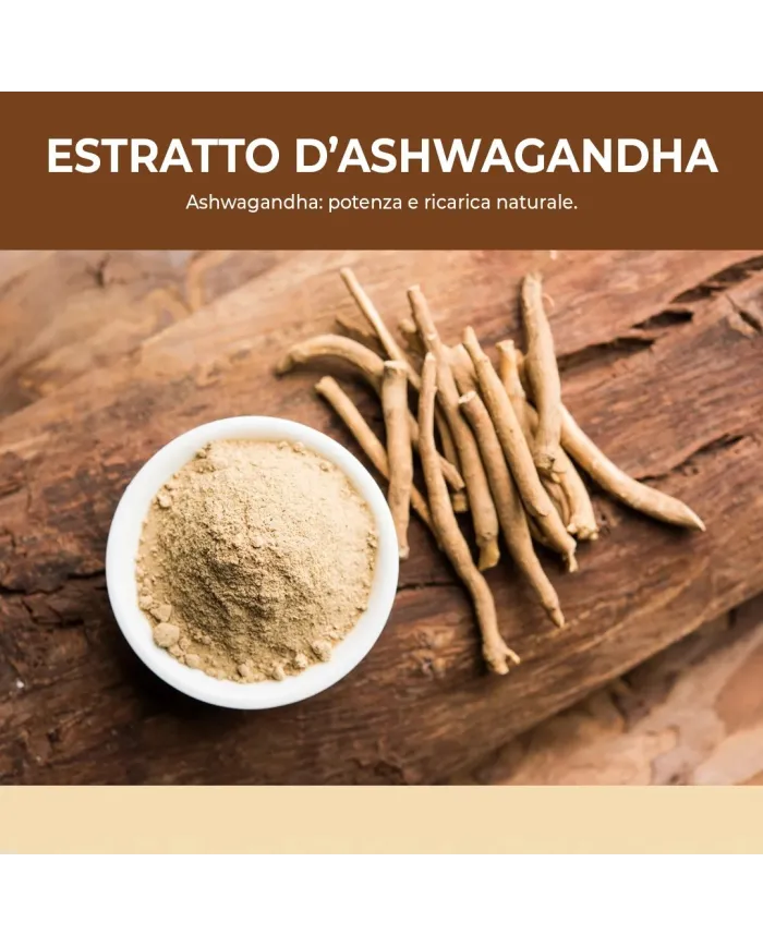 Ashwagandha Complex capsule KSM-66 con Rhodiola, Zinco, B6