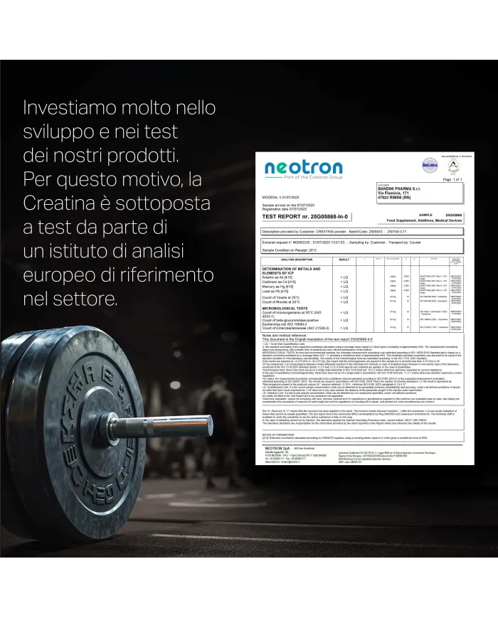 Creatina monoidrato in polvere 500g per allenamento intenso