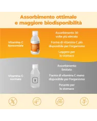 Bandini® Vitamina C Liposomiale liquida 250ml -Difese Immunitarie