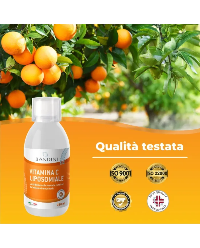 Liposomal Vitamin C - 250 ml Liquid Vit C Supplement