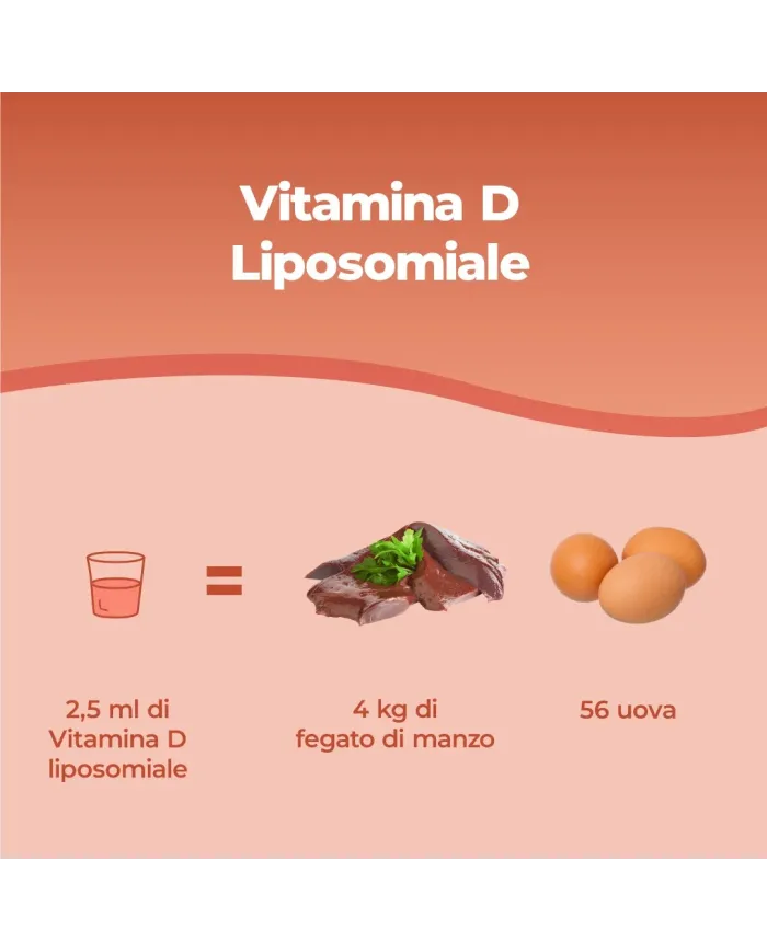 Bandini® - Vitamina D in liposomi | Sciroppo da 250ml