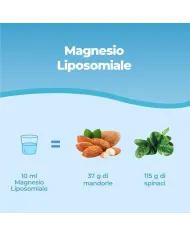 High Strength Liposomal Magnesium Supplement - 250ml