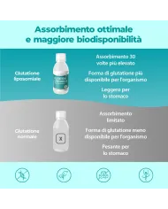 Liposomal Glutathione Setria® 250 ml - Highly Absorbable