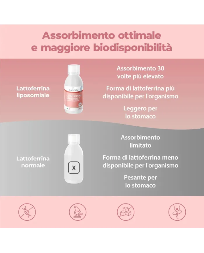 Bandini® Lattoferrina liposomiale liquida 250ml - Alto assorbimento