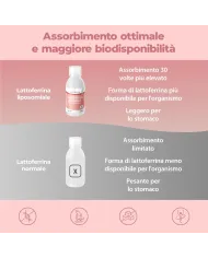 Bandini® Lattoferrina liposomiale liquida 250ml - Alto assorbimento