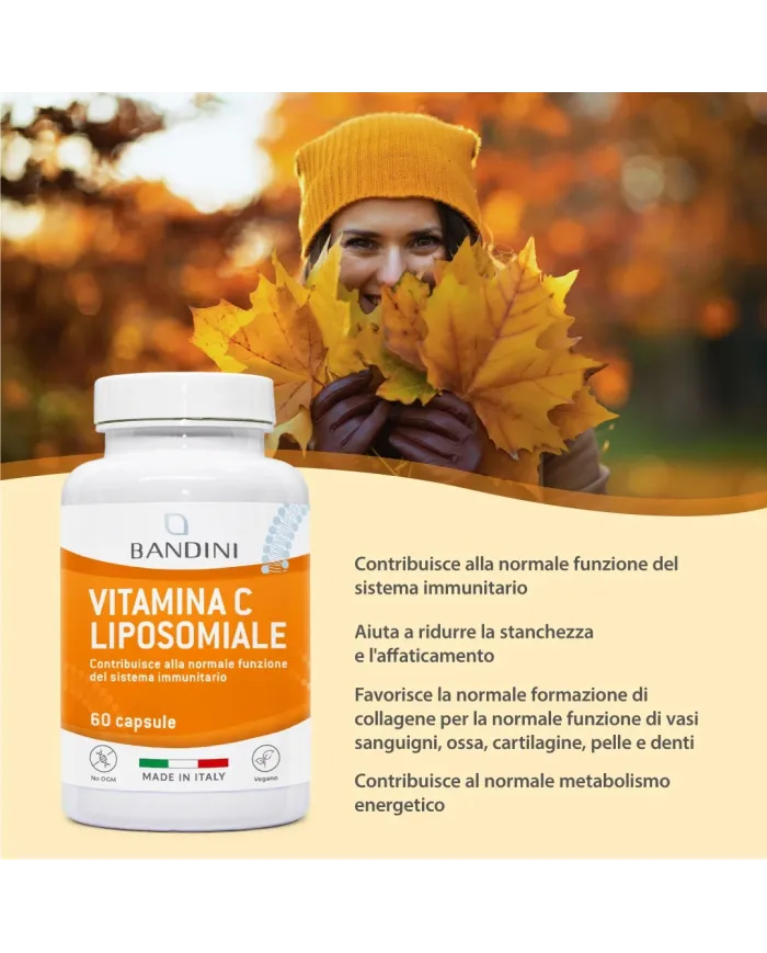 Vitamin C 800mg Liposomal Supplement - 60 Capsules