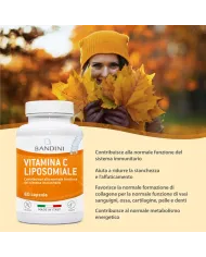 Vitamin C 800mg Liposomal Supplement - 60 Capsules