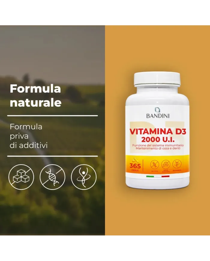 Vitamina D3 365 softgels in Olio d'Oliva - Rinforza i tuoi muscoli