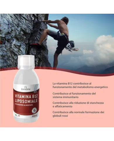 Bandini® - Vitamina B12 Liposomiale Liquida - Difese Immunitarie