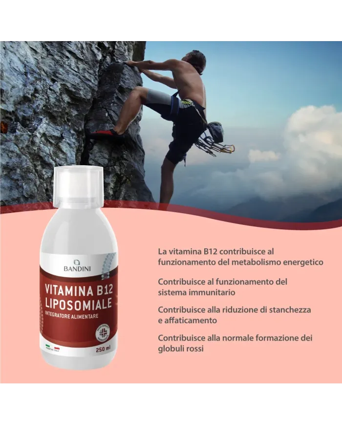 Bandini® - Vitamina B12 Liposomiale Liquida - Difese Immunitarie