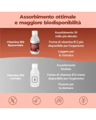 Liposomal Vitamin B12 Methylcobalamin 1000 mcg - 250 ml