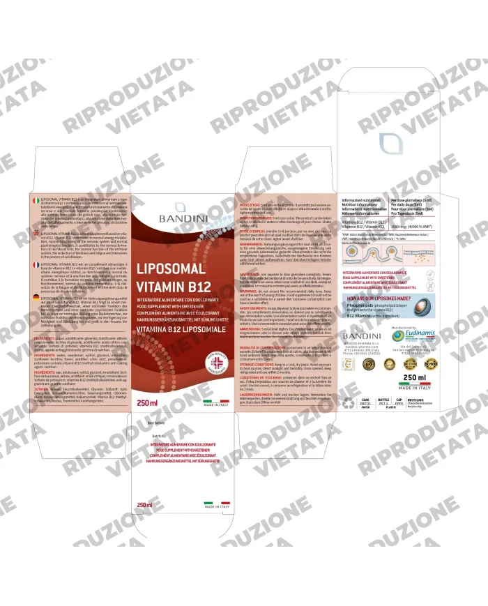 Bandini® - Vitamina B12 Liposomiale Liquida - Difese Immunitarie