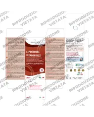 Liposomal Vitamin B12 Methylcobalamin 1000 mcg - 250 ml