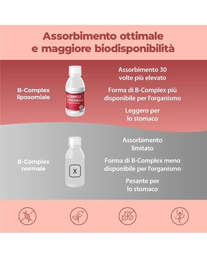 Liposomal Vitamin B Complex liquid 250 ml - High strength