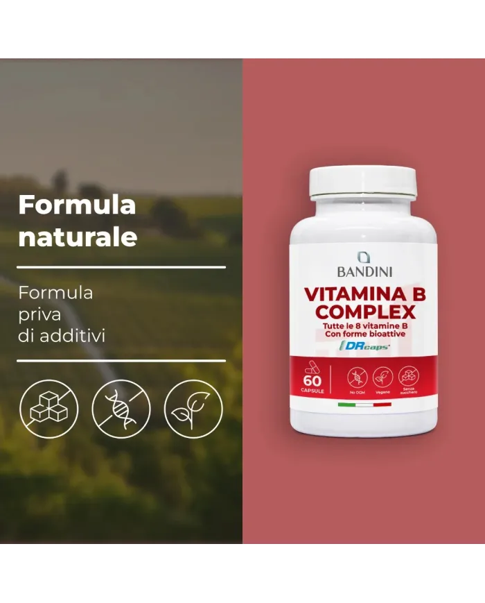 Vitamina B Complex 60 capsule 100% vegan & No OGM