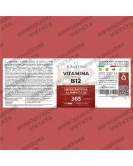 Vitamina B12 100% Vegan - Riduce la stanchezza fisica e mentale