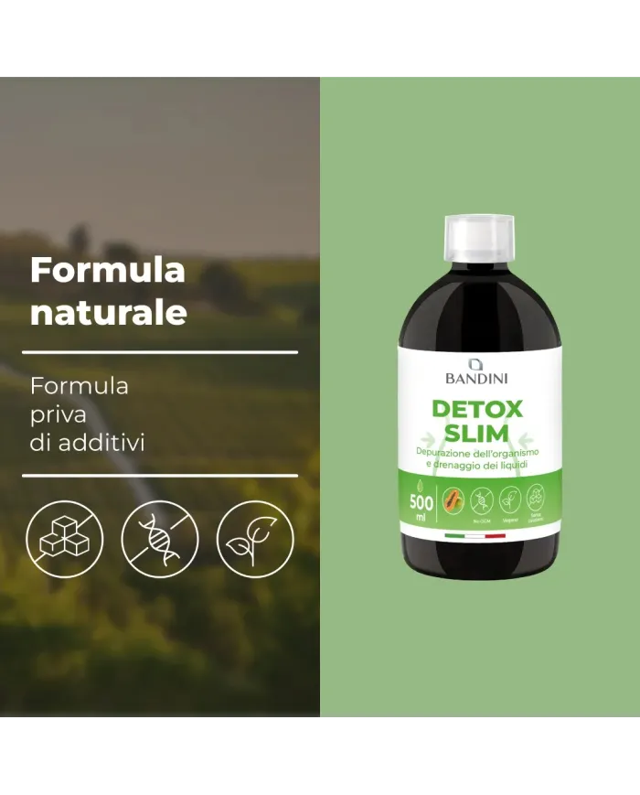 Detox Slim 500 ml - Drenante, Antiossidante & Depurativo