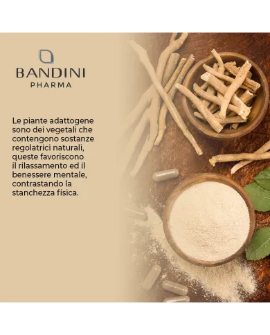 Ashwagandha 60 capsule rimedio anti-stress (ginseng indiano)