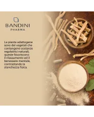 Ashwagandha 60 capsule rimedio anti-stress (ginseng indiano)