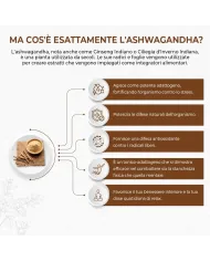 Ashwagandha 60 capsule rimedio anti-stress (ginseng indiano)