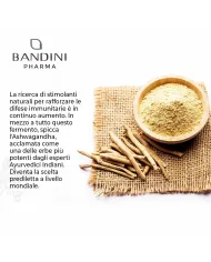 Ashwagandha 60 capsule rimedio anti-stress (ginseng indiano)