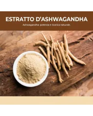 Ashwagandha 60 capsule rimedio anti-stress (ginseng indiano)