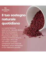 Riso Rosso con Monacolina K 90 compresse