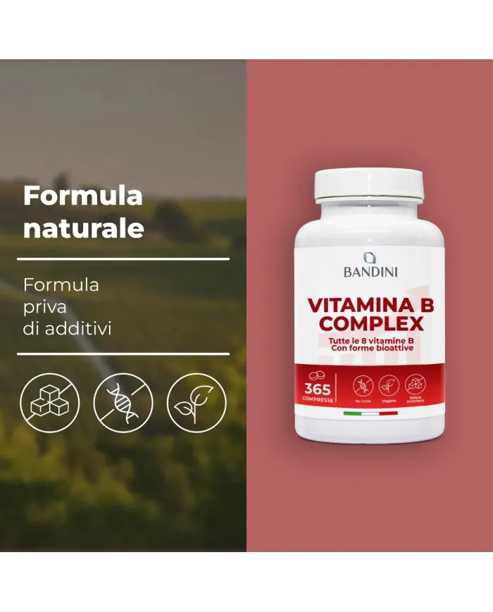Vitamina B Complex 365 compresse 100% vegano & No OGM