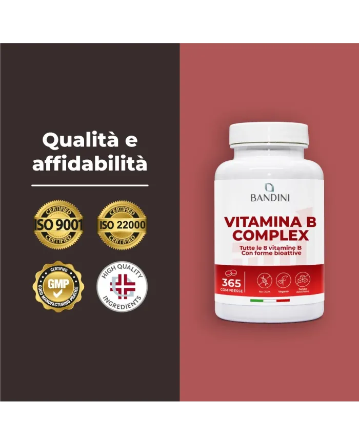 B Complex Vitamins - 365 tablets - 100% vegan & No GMOs
