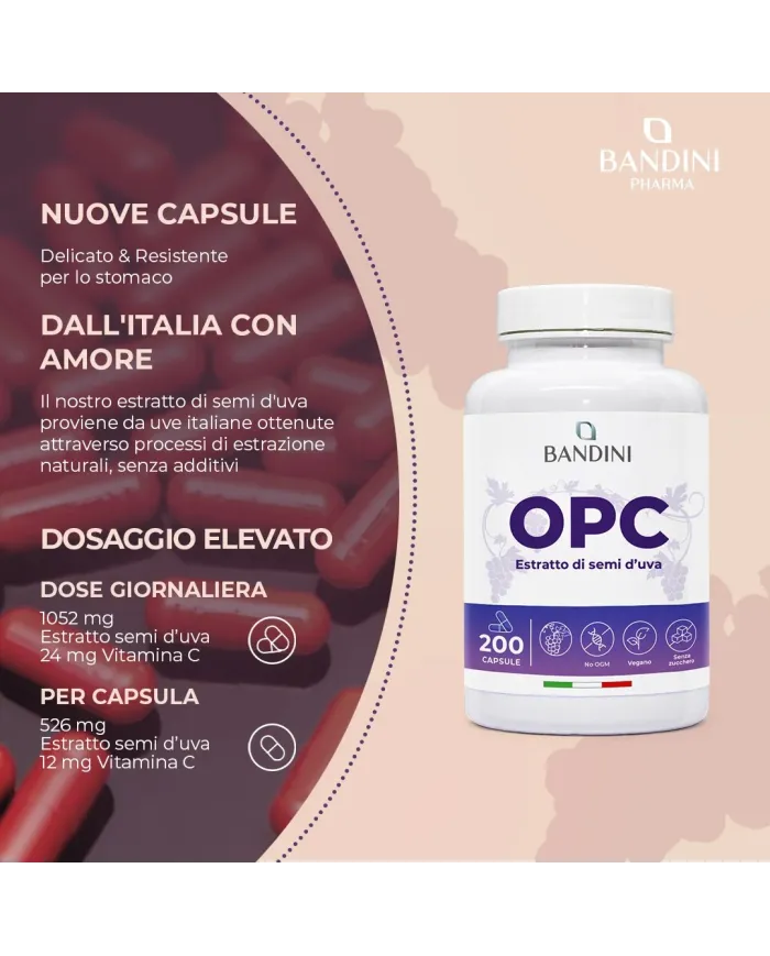 OPC 200 capsules European grape - Antioxidant, anti-inflammatory