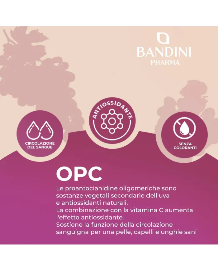 OPC 200 capsule uva europea - Antiossidante & antinfiammatorio