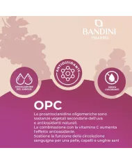 OPC 200 capsule uva europea - Antiossidante & antinfiammatorio