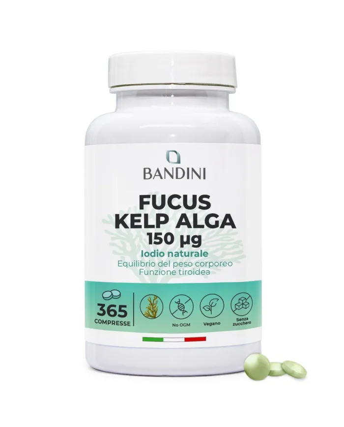 Fucus Kelp Algae 150mcg tablets - Natural source of iodine