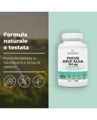 Fucus Kelp Algae 150mcg in compresse fonte di Iodio