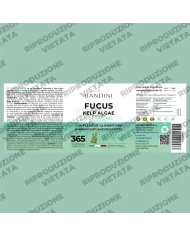 Fucus Kelp Algae 150mcg in compresse fonte di Iodio