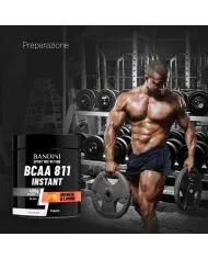 BCAA 8:1:1 in polvere da 400 g al gusto di Arancia e Limone