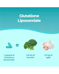 Bandini® - Glutatione Setria® Liposomiale Ridotto - Antiossidante
