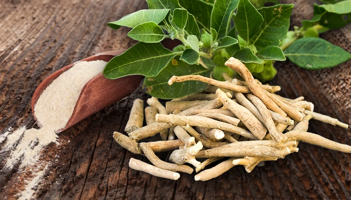 Ashwagandha Per Lo Stress