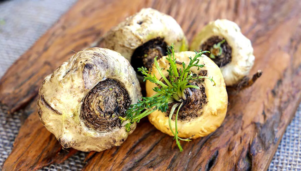 Maca Peruviana